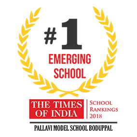 Award received by Pallavi Group of Schools